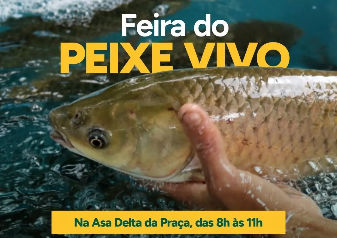Tradicional Feira do Peixe acontece nesta quinta-feira (02) em Herval d’Oeste