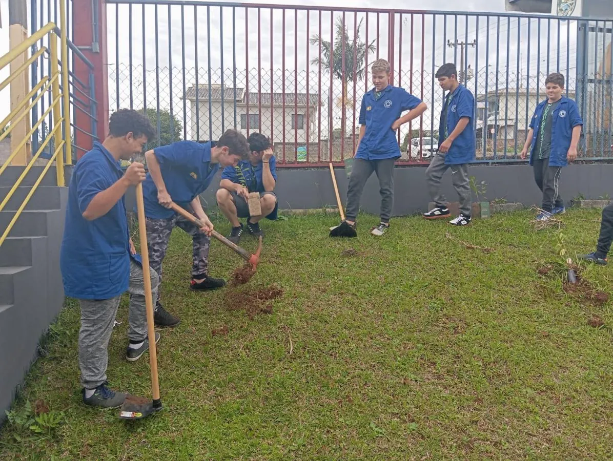 Escolas municipais de Joaçaba recebem doação de 100 mudas de árvores nativas