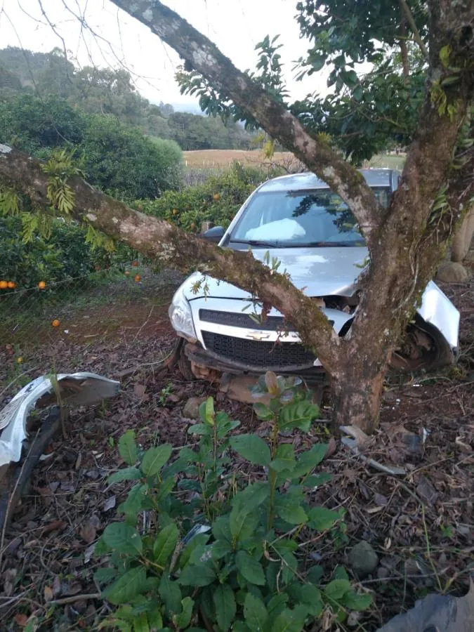 Homem fica ferido após carro colidir contra árvore em Ibicaré