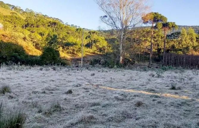 Agosto começa com temperaturas negativas e geada em SC