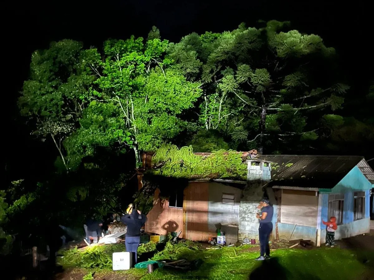 Árvore cai sobre casa no interior de Herval d’Oeste