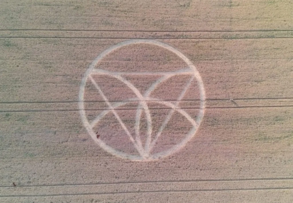 Morador registra círculos misteriosos em plantação de trigo