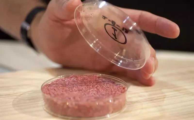BRF anuncia produção de carne cultivada no Brasil