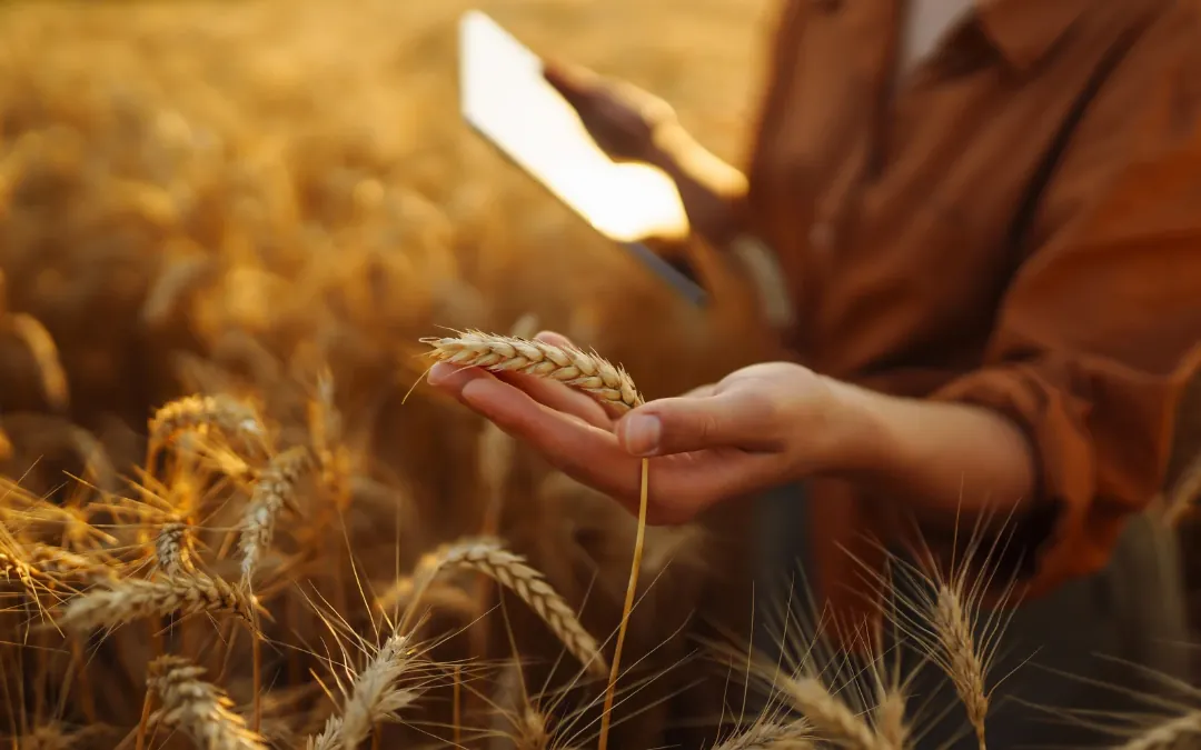 Dia da Mulher Rural: mulheres já representam 40% dos responsáveis por decisões no campo brasileiro