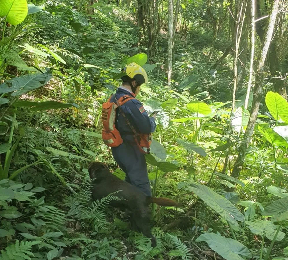 Bombeiros localizam com vida homem que estava desaparecido