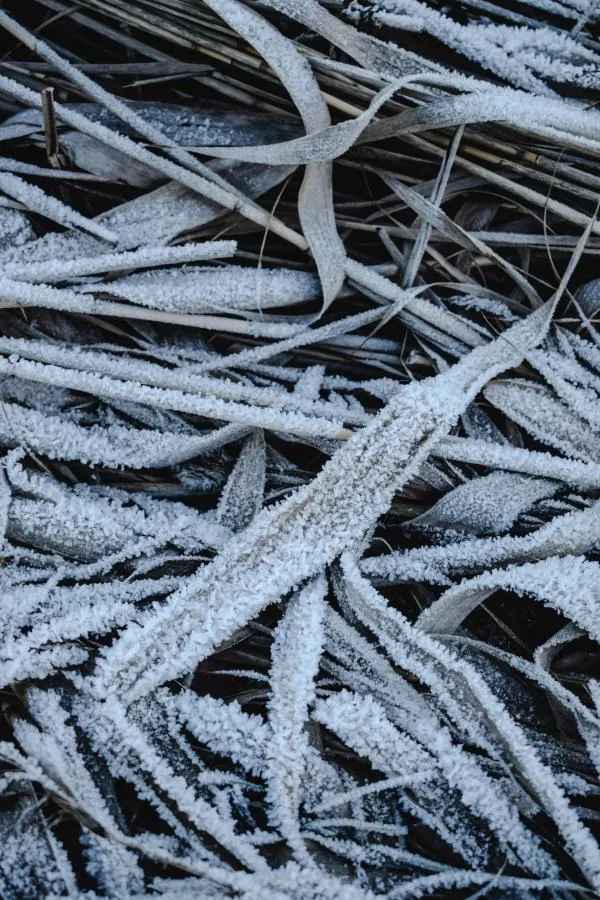 Frio volta a ganhar força no Oeste e Meio-Oeste de SC durante o fim de semana
