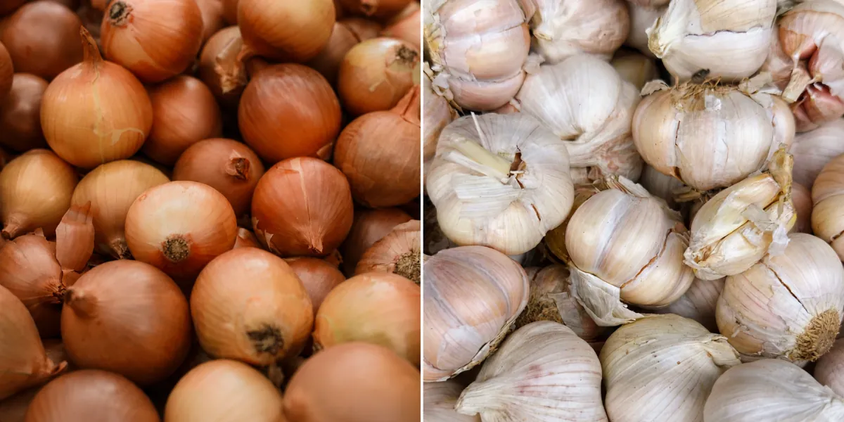 Safra de cebola e alho deve ser menor em Santa Catarina após queda na rentabilidade