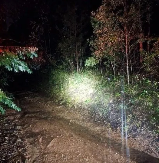 Jovem é encontrado morto e sem as mãos em plantação de eucalipto