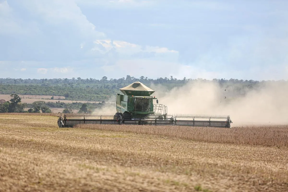 Produção agrícola de SC cresce 12,8% e movimenta R$ 22,1 bilhões