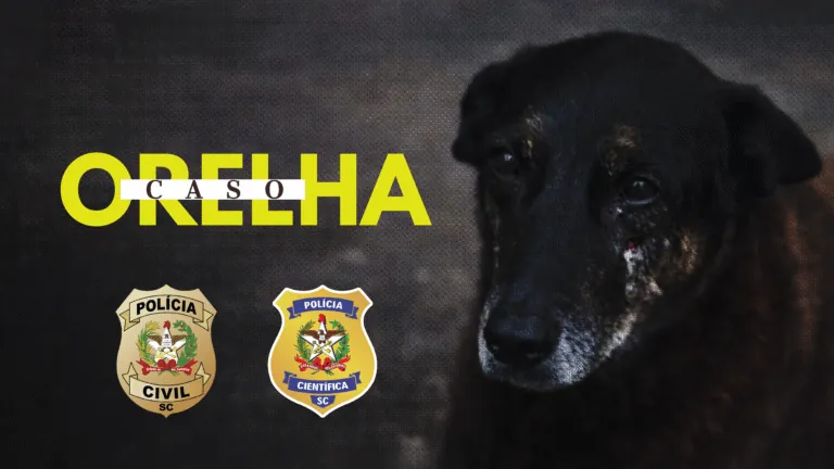 Polícia Civil pede internação de adolescente envolvido na morte do Cão Orelha