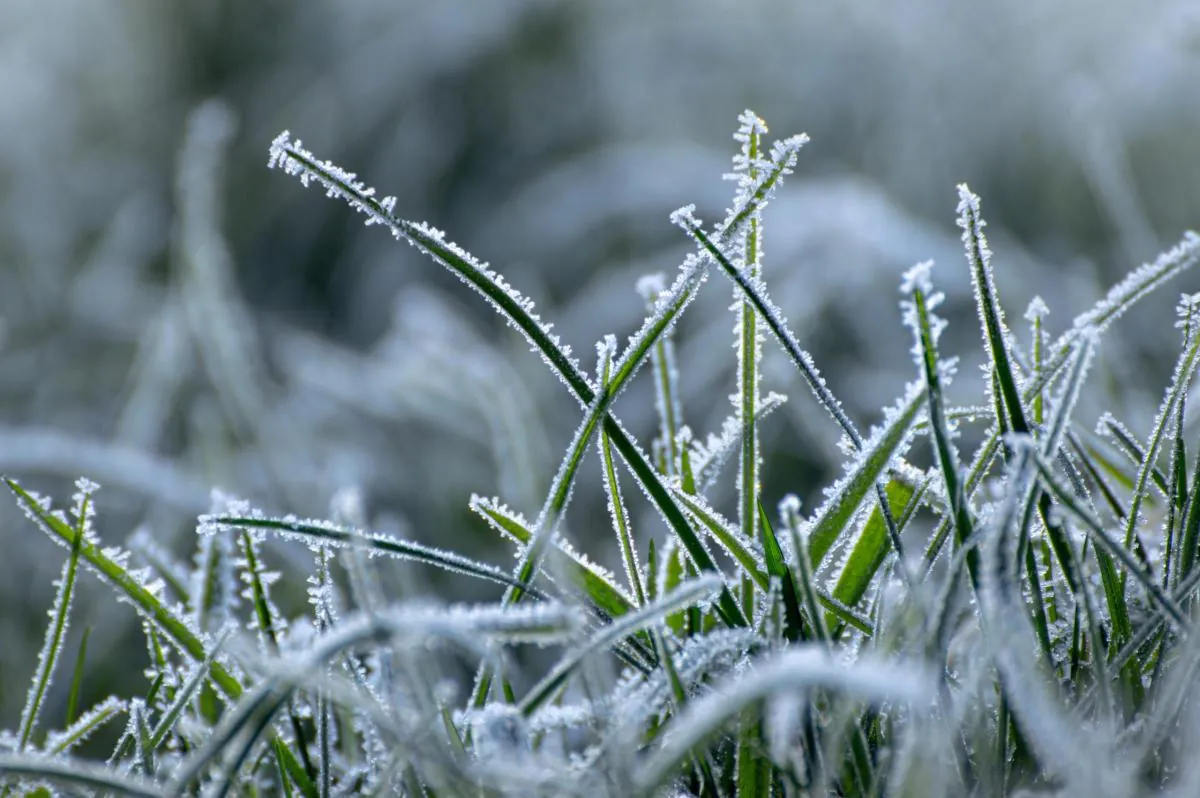 Primavera começa com frio em Santa Catarina e temperaturas podem chegar perto de 0°C