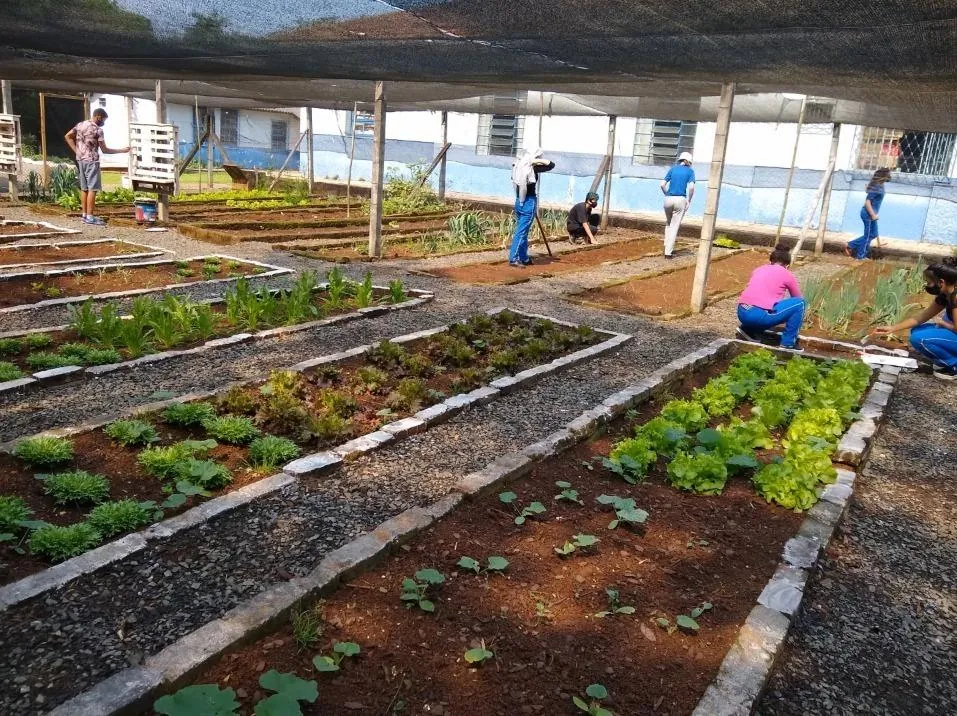 Nuperajo é uma das 62 escolas do país contempladas com projeto de inovação no Programa Brasil na Escola