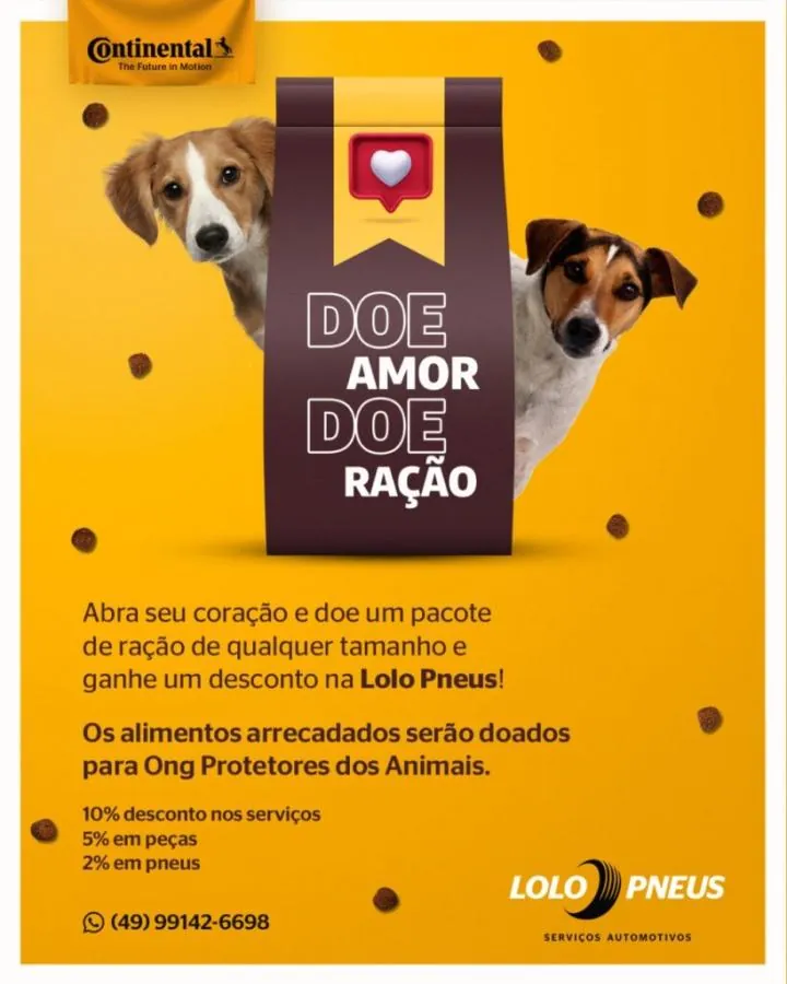 Campanha Solidária para animais abandonados acontece em Joaçaba e Herval d’Oeste