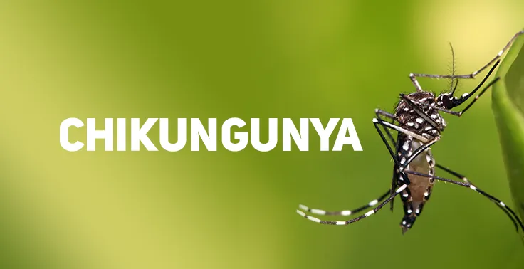 Joaçaba confirma o primeiro caso de Chikungunya neste ano