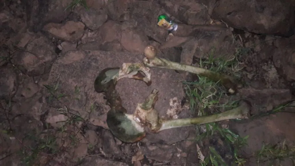 IGP confirma que ossos encontrados em cascata são humanos e aponta detalhes que a ossada revelou
