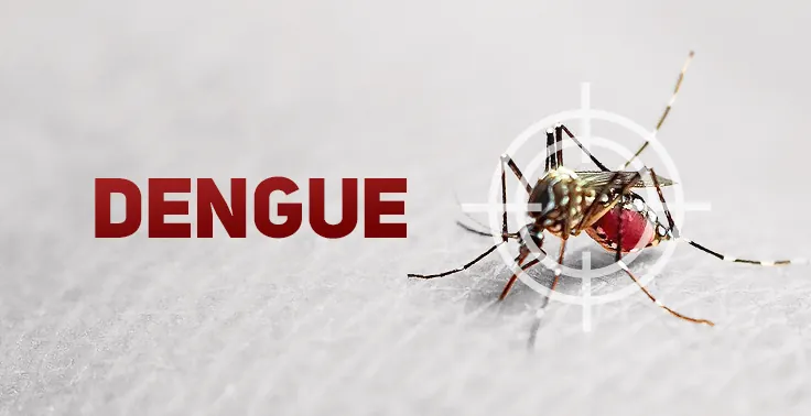 Herval d’Oeste passa a ser considerada endêmica em relação a dengue