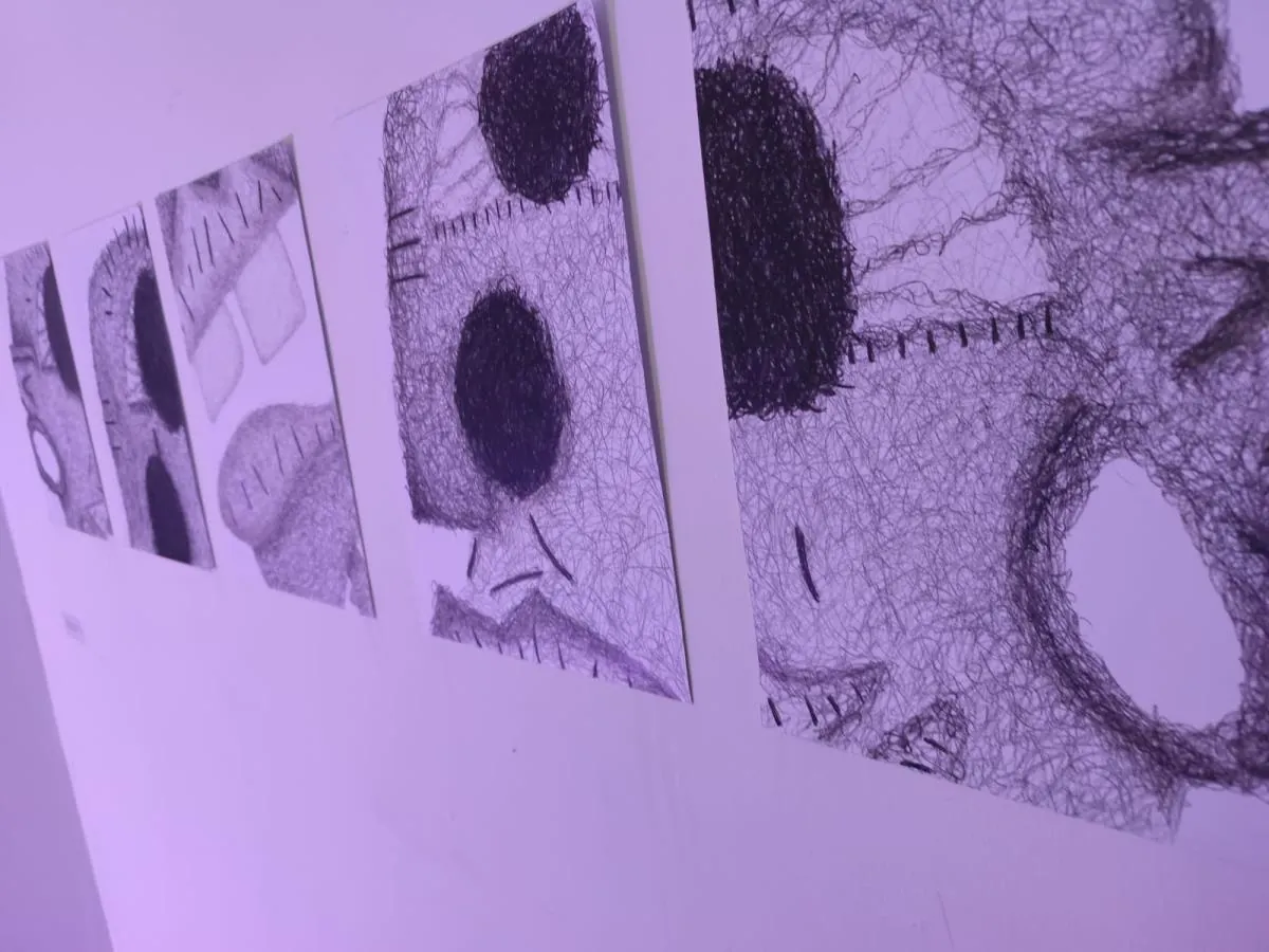 Abertura da exposição artística “Vários do Mesmo” acontece nesta sexta-feira (21) em Joaçaba