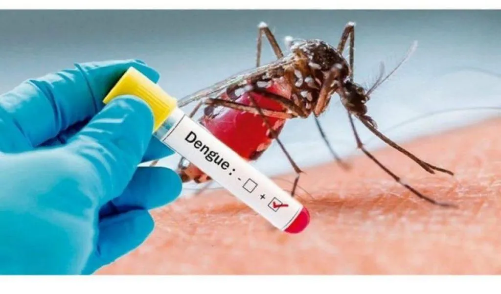 Mais três focos de Aedes Aegypti são confirmados no município de Joaçaba