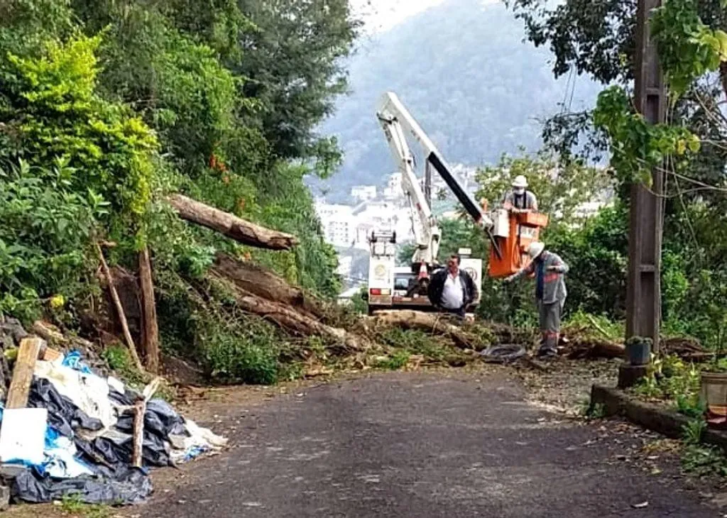 Queda de árvore deixa moradores sem energia em Herval d´Oeste