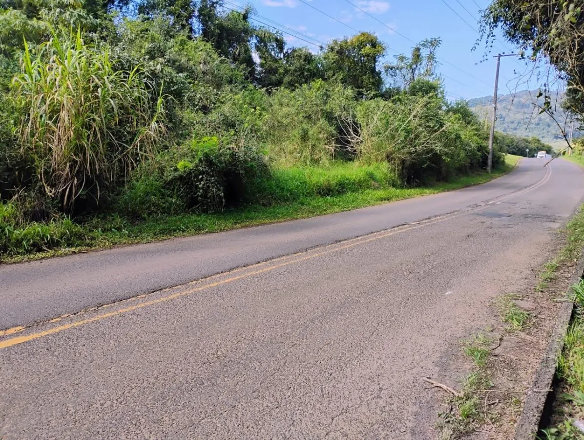 Vereador solicita que sejam realizadas roçadas ao longo da Rodovia do Ovo, em Herval d’Oeste