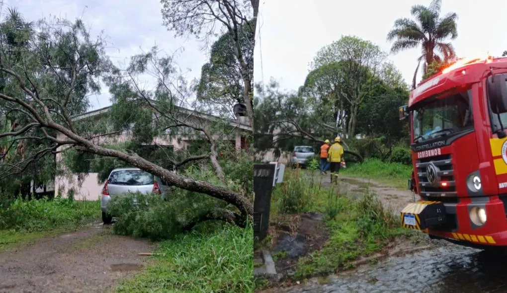 Árvore cai sobre veículo e rede elétrica em Catanduvas