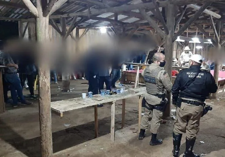 Rinha de galo com mais de 100 pessoas foi flagrada pela PM em Massaranduba, no Norte de SC (Foto: Polícia Militar)