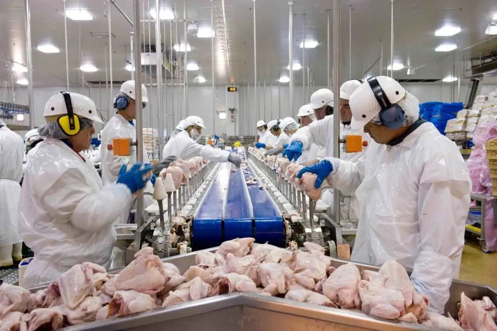 Exportações de carne de frango crescem 57,5% em outubro