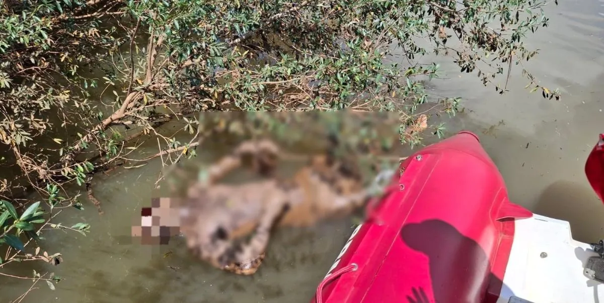 Corpo é encontrado no Rio do Peixe entre Luzerna e Herval d’Oeste